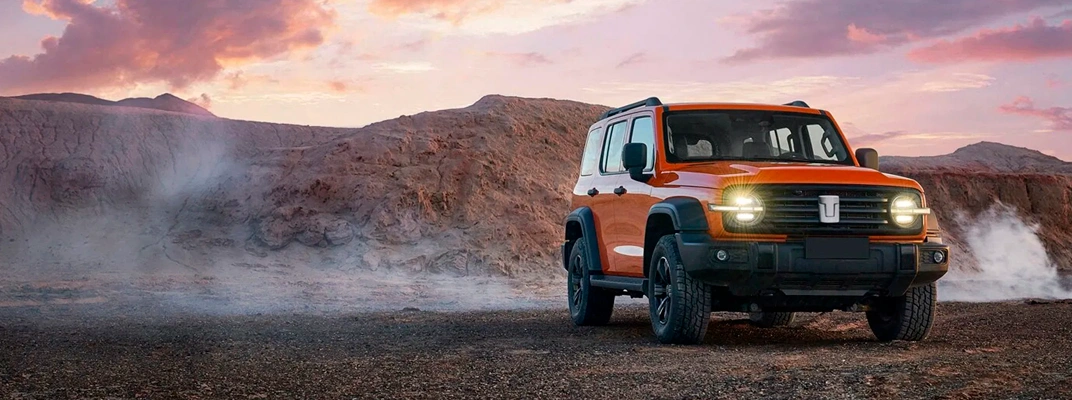 Купить Tank в Краснодаре